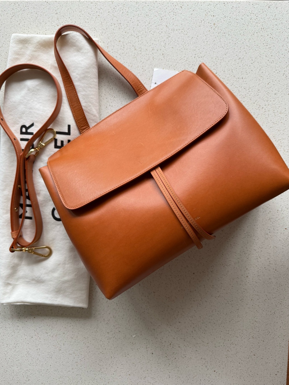 Mansur Gavriel Lady Bag